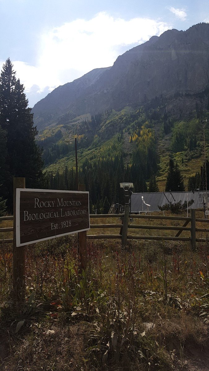 CSU_SEEDS's tweet image. Wind measurement tools, indicating the direction and speed of the wind.