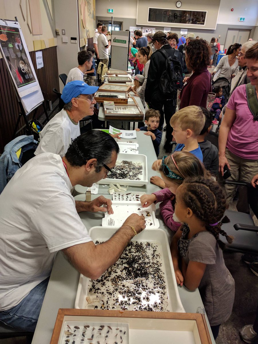 bugdayOttawa's tweet image. The fun continues until 4:00 PM today, come to #bugday2017 if you get the chance!