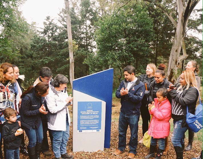 Bosque Unión Europea tweet media