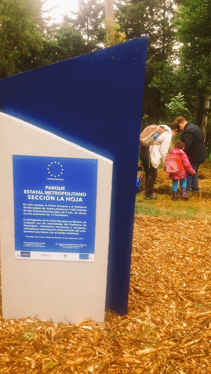 Bosque Unión Europea tweet media