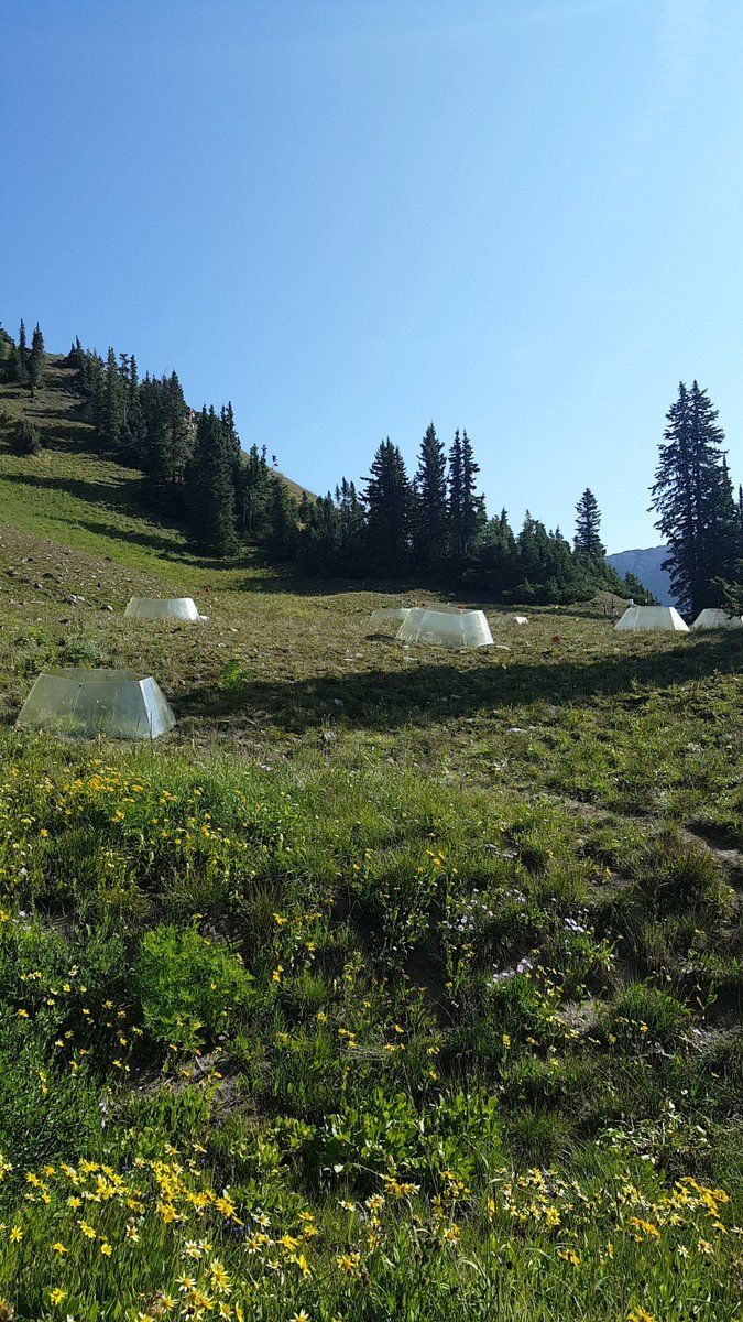 CSU_SEEDS's tweet image. Green house, studying impact of climate change.