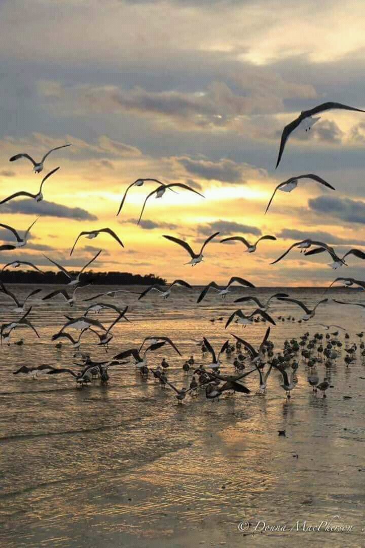 RobertOpretE50's tweet photo. "Di #fronte al #mare i #pensieri #diventano #carezze ." https://t.co/bZuFHOyMPp