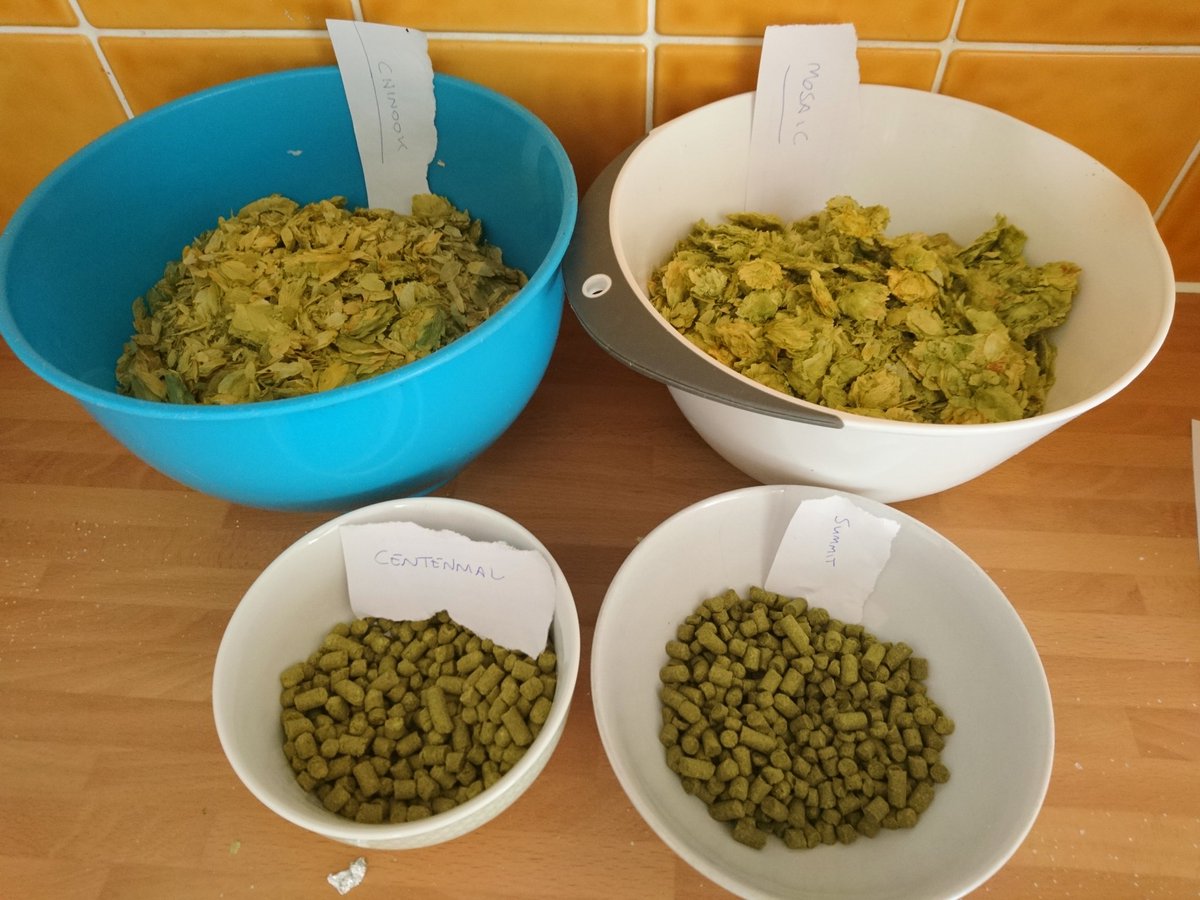 Hip - hops! New supply in. On the brew. Terrahop. #brewsaurus  #smallbatchbigbeer