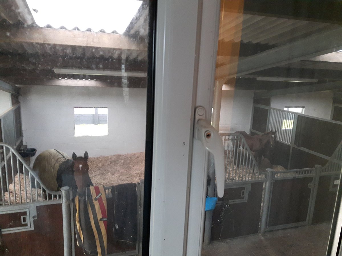 JessWestwood's tweet photo. You couldn't get a better bedroom view! #LiveWithThem https://t.co/Mkclpe8tnq