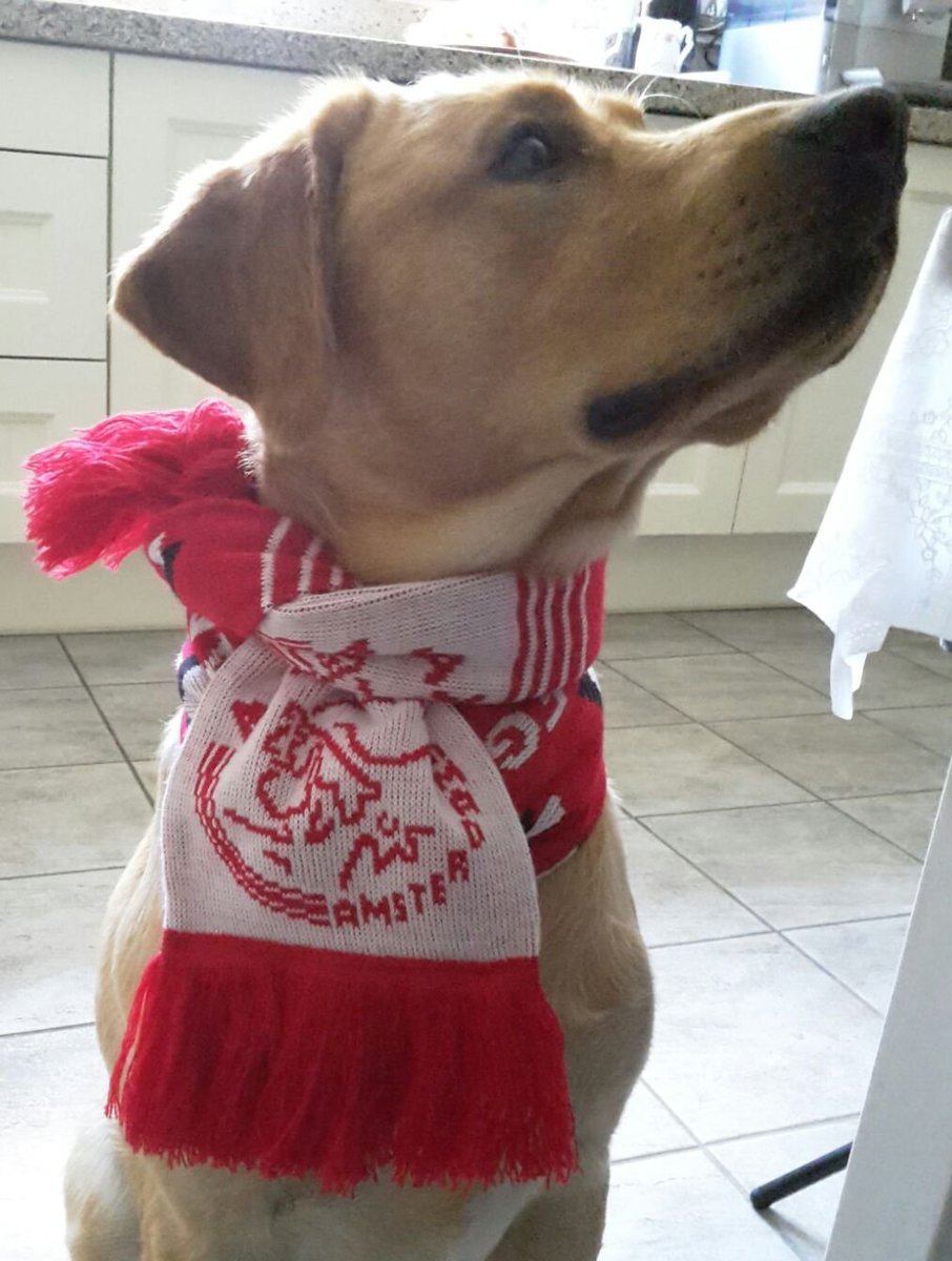 pkamink's tweet photo. #ajapec  Sam de ajaxfan https://t.co/s4RHT9G5f5