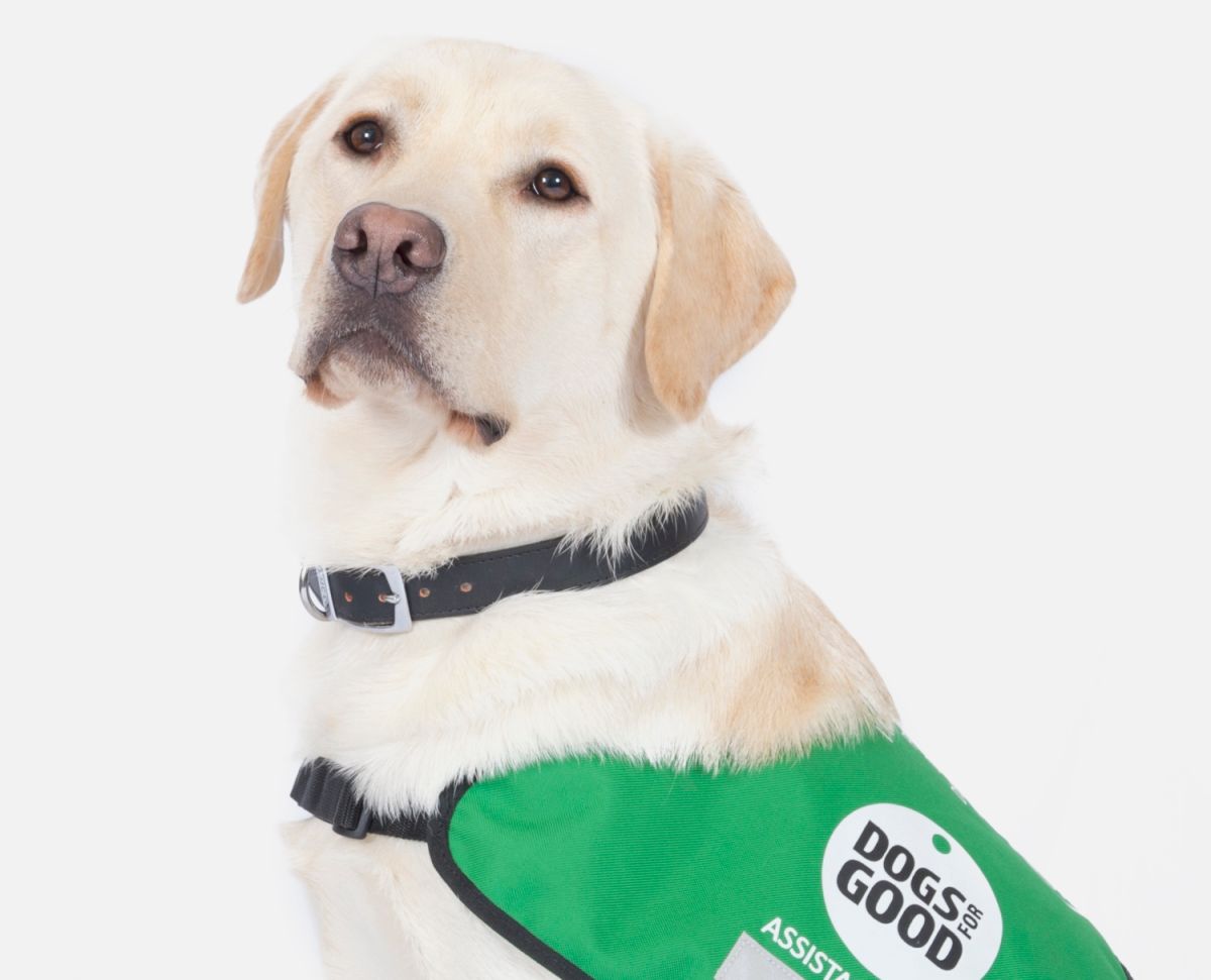 DogsForGoodUK's tweet photo. Good luck to Michelle &amp; Joanne for tomorrow, raising money to help us train more life-changing dogs like Zak #greatnorthrun https://t.co/x5HvyVQCKn