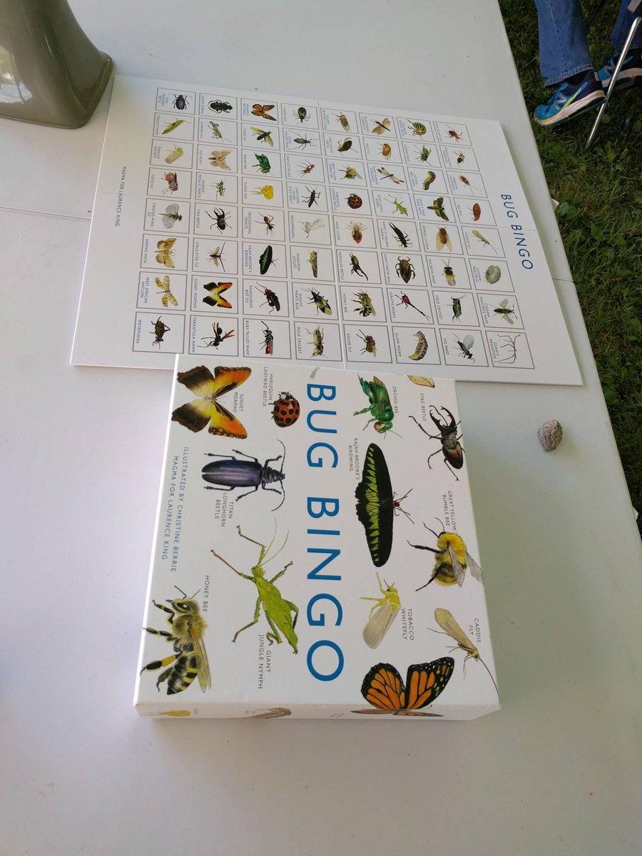 bugdayOttawa's tweet image. #bugday2017 continues! And the sun is coopering too!