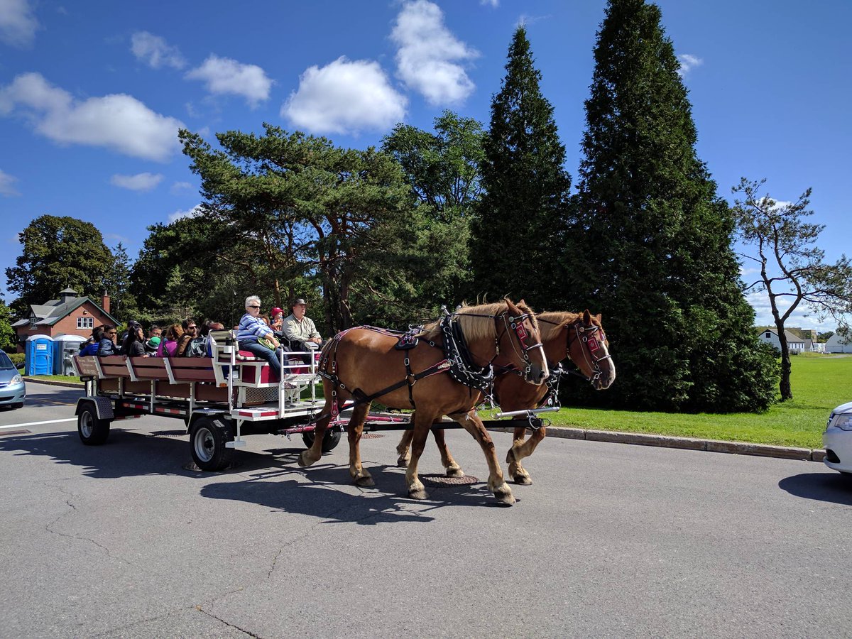 bugdayOttawa's tweet image. #bugday2017 continues! And the sun is coopering too!