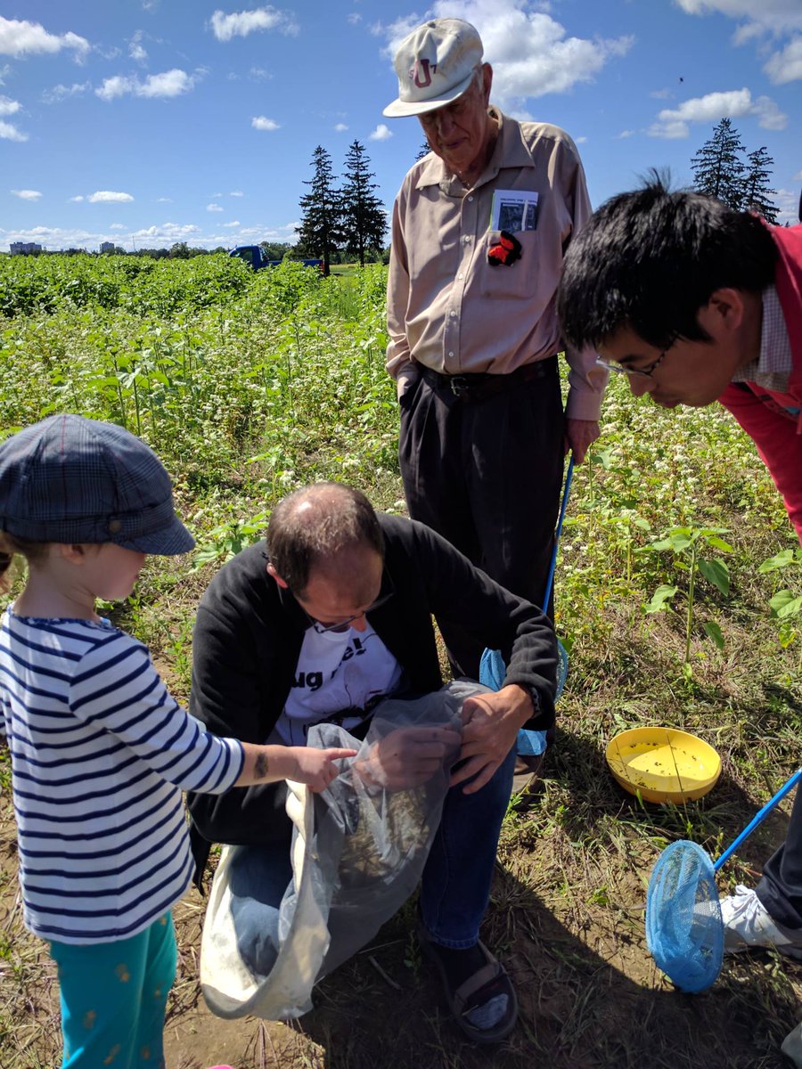 bugdayOttawa's tweet image. #bugday2017 continues! And the sun is coopering too!