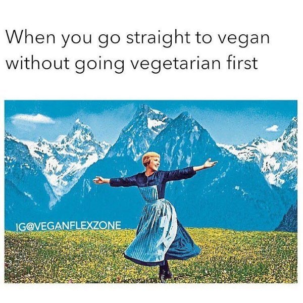 bodisafe's tweet photo. GRAINS...er...um...GAINS!!!! 🤣

#vegansofinsta #veganmemes #whyimalwaysbroke #veganfoodies #bodisafe #veganfood #veganmakeup #crueltyfree https://t.co/SoejY14LdR