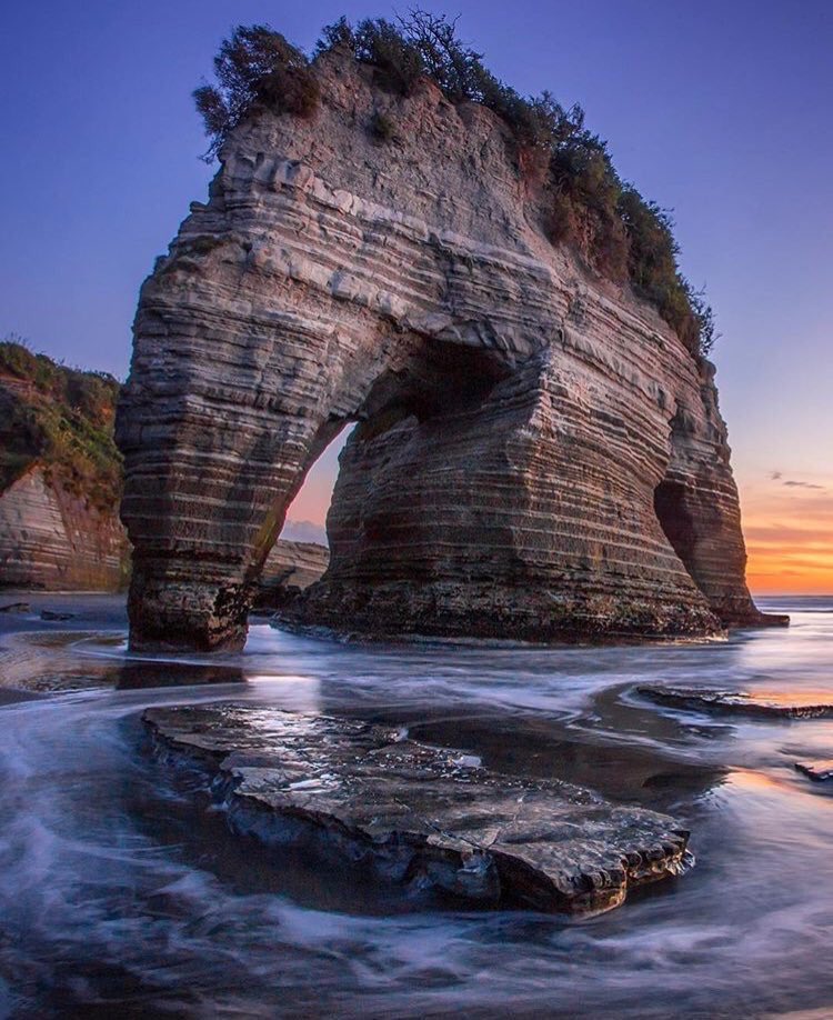 AwesomeEarthPix's tweet photo. Elephant Rock, New Zealand | Photography by ©Rach Stewart https://t.co/ACVdizpaGu