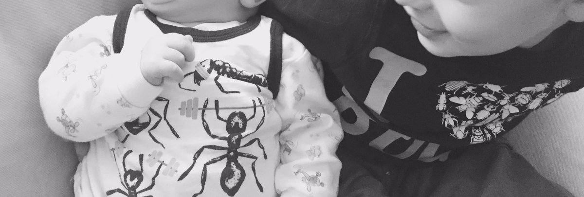 entoMOMogist's tweet image. Bug shirts for @bugdayOttawa! Add this to your event list @OttawaMommyClub @ParentingTimes @kidsincapital 1/2