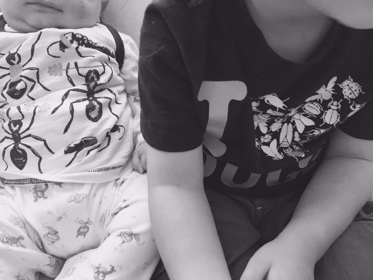 entoMOMogist's tweet image. Bug shirts for @bugdayOttawa! Add this to your event list @OttawaMommyClub @ParentingTimes @kidsincapital 1/2