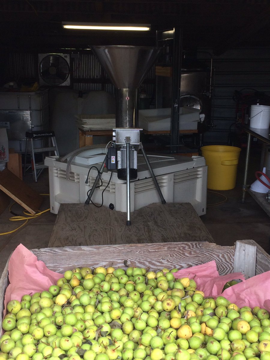 Pressing perry pears!