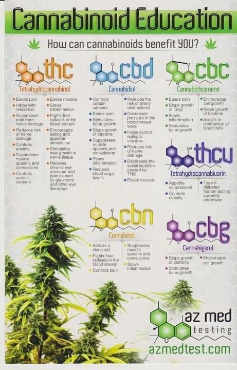 dankoptimizer's tweet photo. Cannabinoid Education #cannabis #CannabisCommunity #weed #MMJ #710 https://t.co/ebtNkZ5GWT
