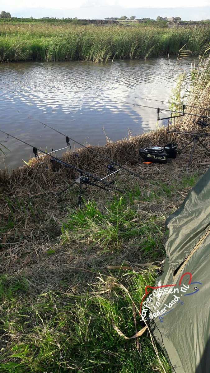 The match is on!!! karpervisseninnederland.nl