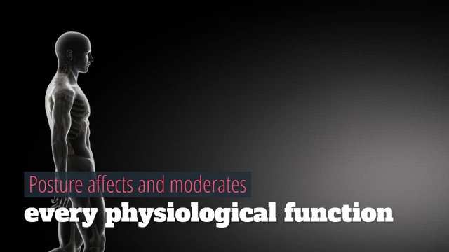 DoctorRoberds's tweet image. Few of us realize the importance of posture to our health and performance. The human body craves alignment. bit.ly/2eWxu3Q