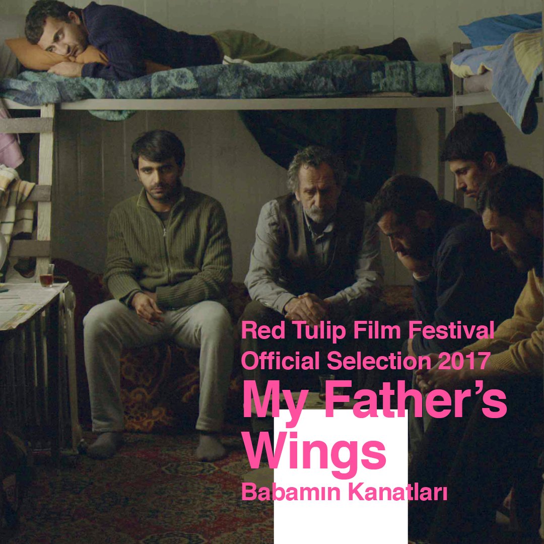 RTFF_NL's tweet photo. "My Father's Wings", which received 7 awards in the 23rd Adana Film Festival, is coming to the Red Tulip Film Festival this year! #rtff2017 https://t.co/zmbsKmKrjv