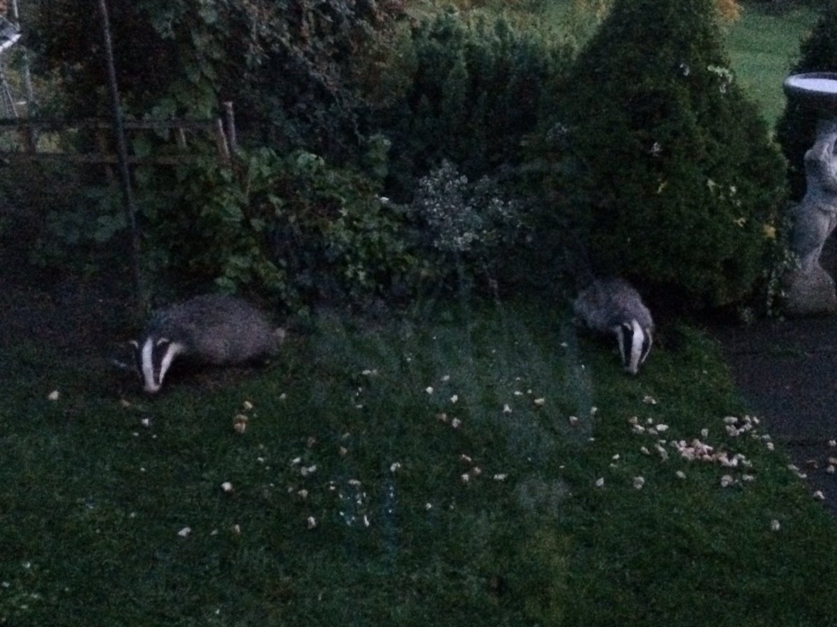 2 out early tonight!