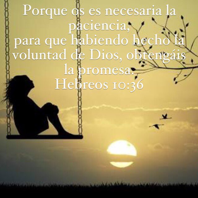 La_Biblia_'s tweet photo. https://t.co/9lyzHom3kZ
