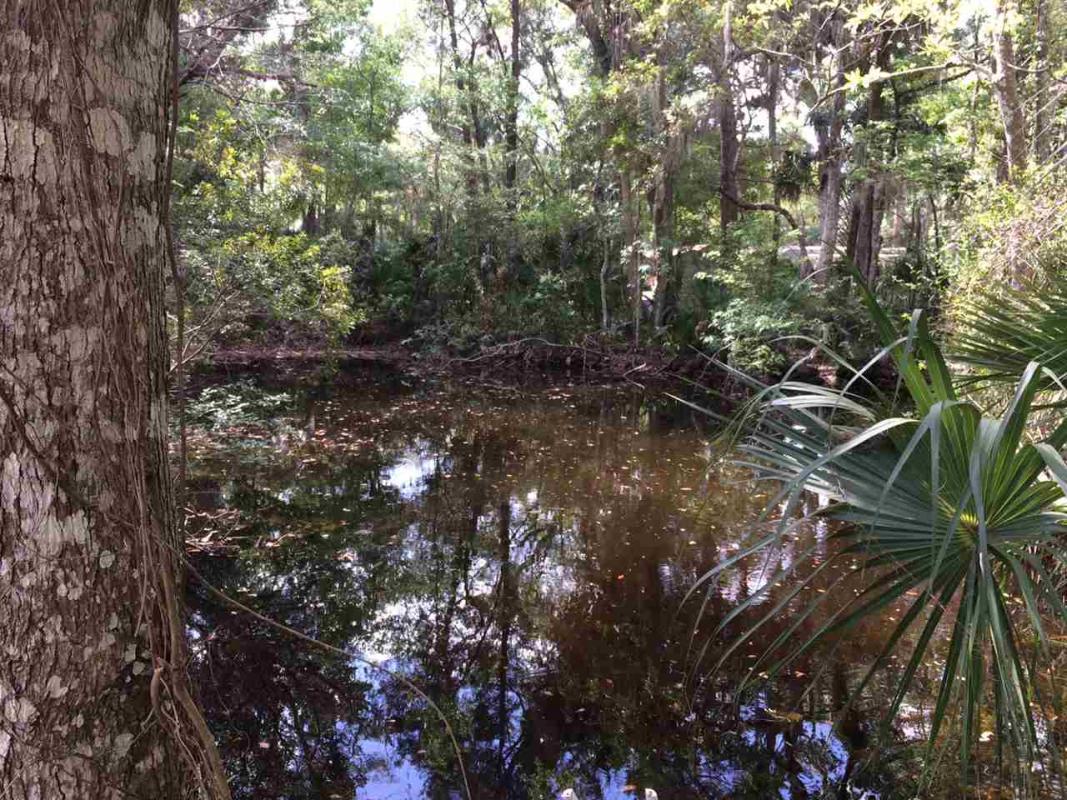 devinschmidtRE's tweet image. I would love to show you my #listing at 10331 W Halls River Road #Homosassa #FL  #reales... tour.bosshardtrealty.com/home/HBB7JV