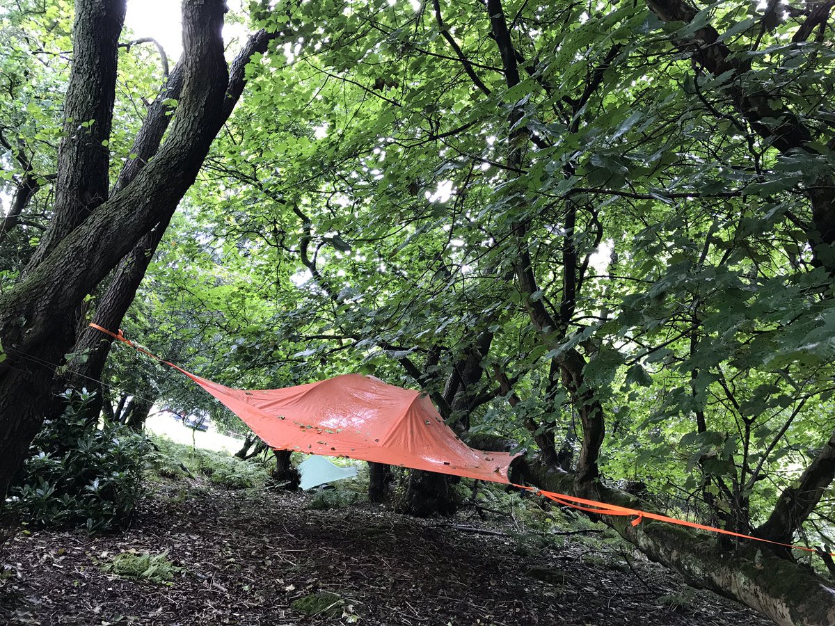 Base Camp Festival tweet media