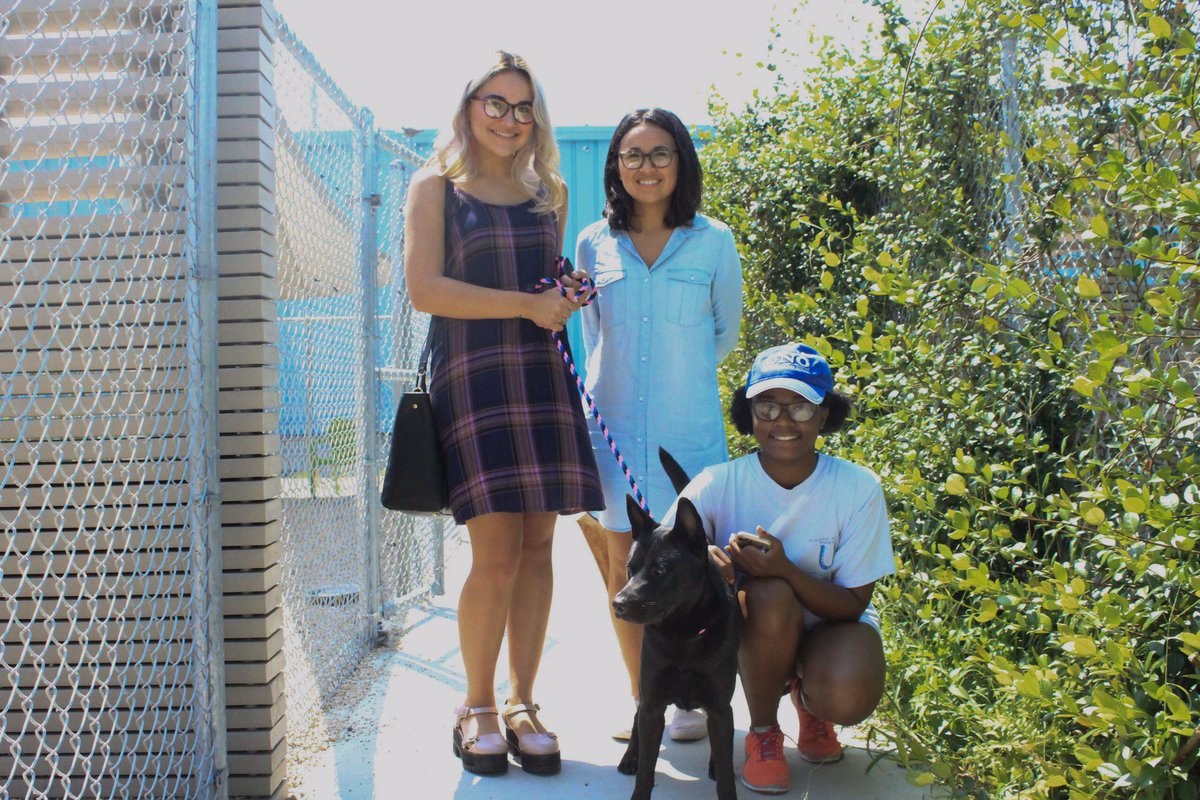 Service Coalition tweet media