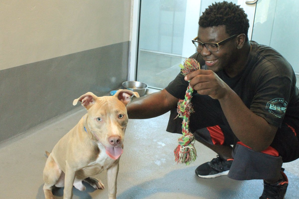 Service Coalition tweet media