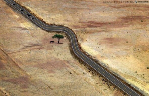 A volte nella vita occorre cambiare
la strada progettata
per amore di chi si incontra:
solo allora si capisce
quanto sia decisivo l'incontro
