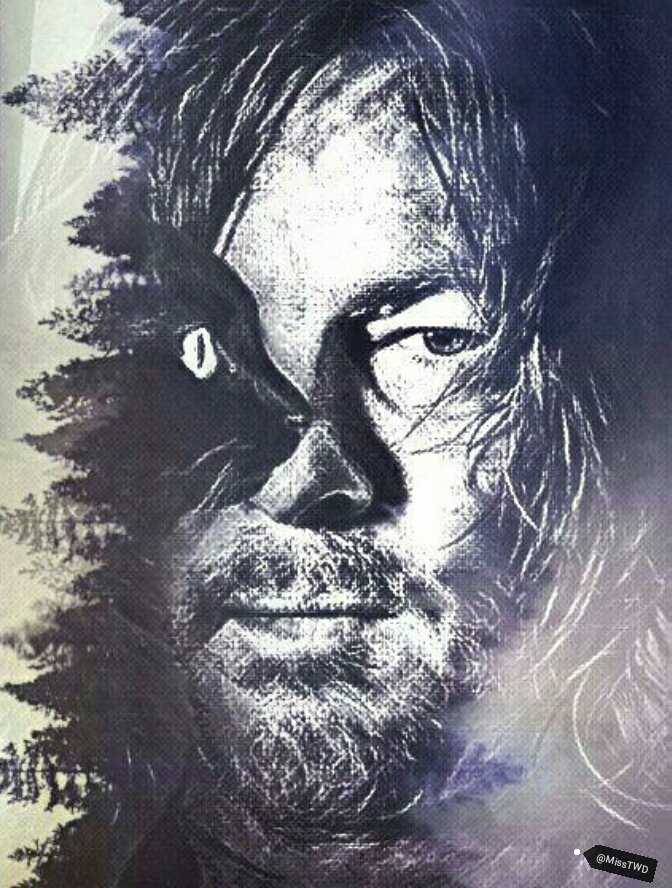 MissTWD's tweet photo. #TWD #NormanReedus #DarylDixon @wwwbigbaldhead @NormansCat #NormansCat #TWDFamily ๐๐ฑ https://t.co/spFuRwMtDJ