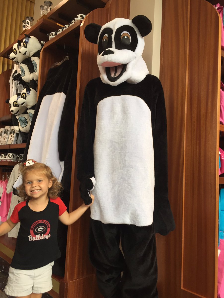 Cock_a_doodles's tweet photo. On the verge of Irma we decided a visit from Hashtag would help. Thanks! #hashtagpanda #tonightshow #JimmyFallon #Irma2017 https://t.co/cEV0eoa44D