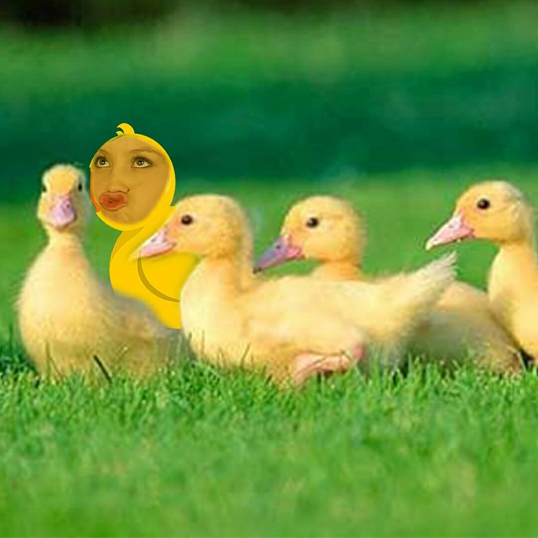 😂😂😂😂 #MisCancionesInfantiles