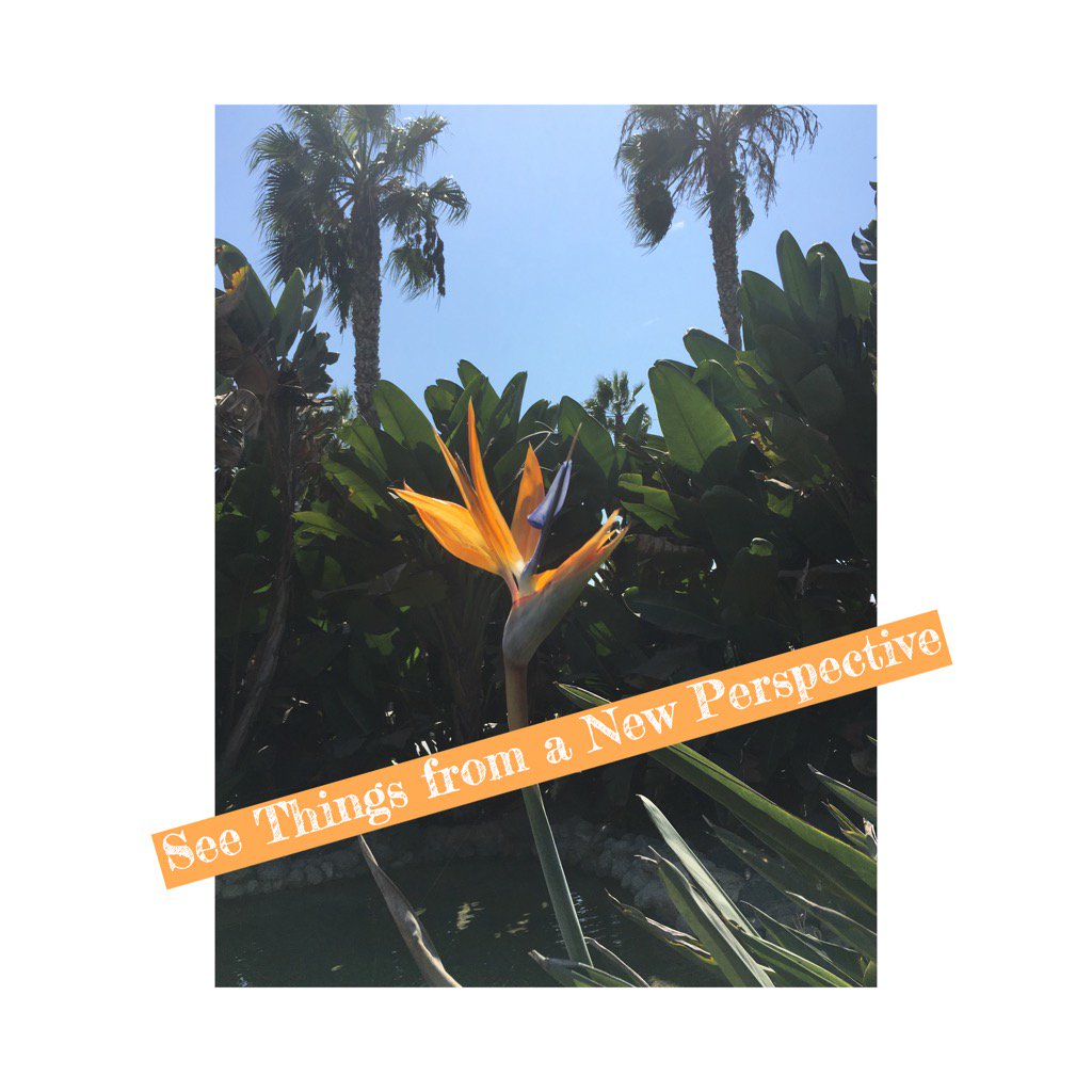 atbreton's tweet photo. Mindful photo walk #cuerockstar https://t.co/pC4NW81cjw