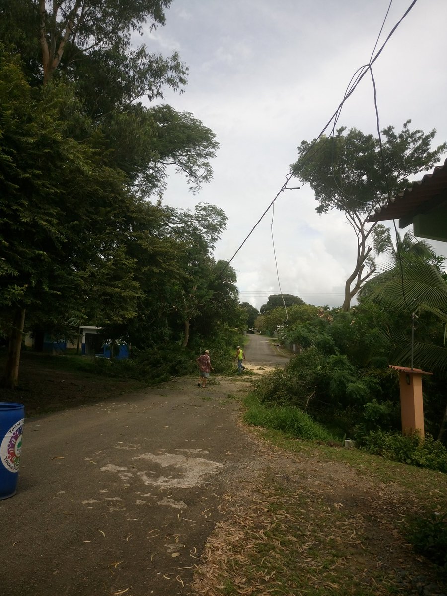 Darealluc's tweet photo. @GNF_pa Y hay casas sin luz, pero 6 horas han pasado y no les ha dado las ganas de pasar para arreglar el peligro https://t.co/FCHK3zU250