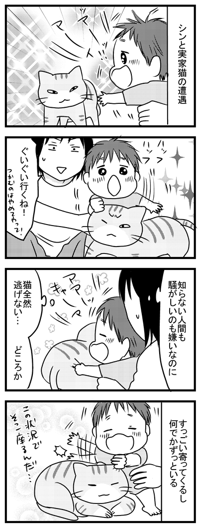 猫と赤子  