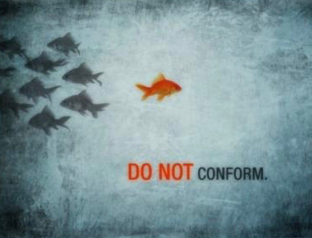 carriegcecil's tweet photo. Think different! Be different! Embrace your unique spirit! #lead #conqueor #disrupter https://t.co/ek54Apny04