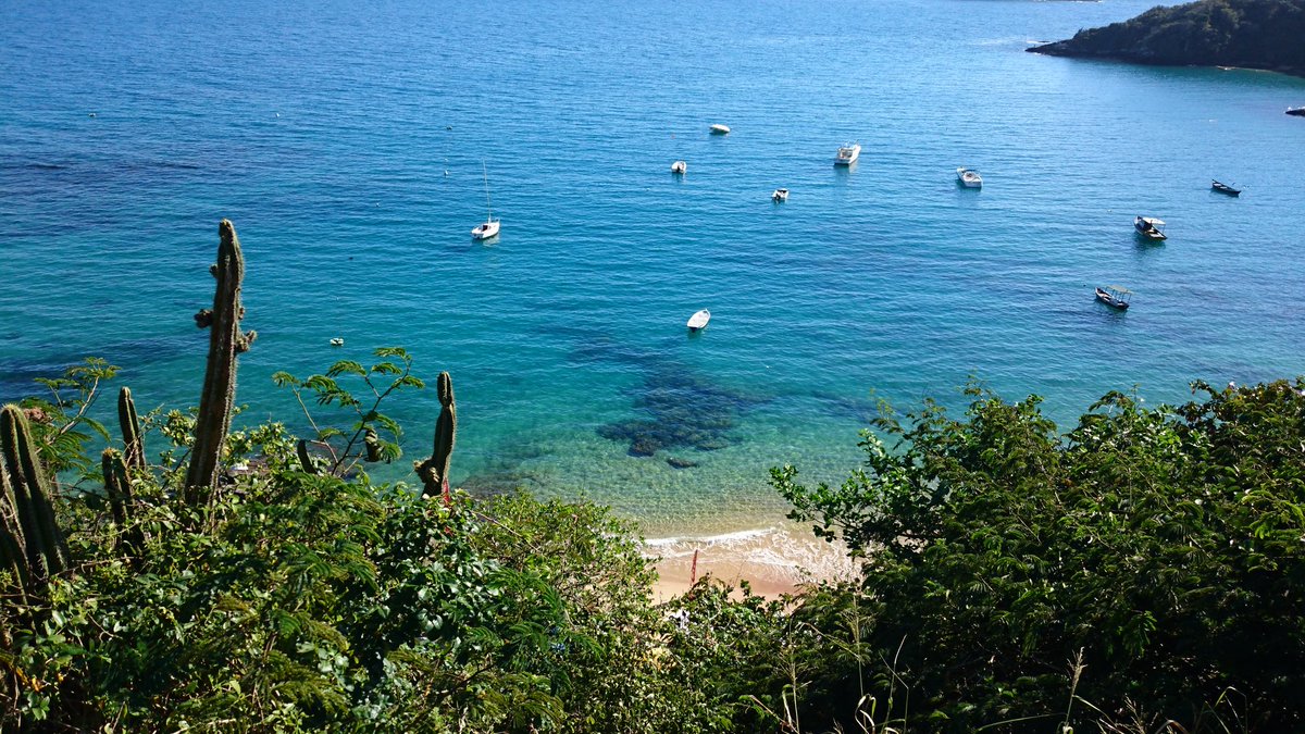 Eduardo Tim Beta (@leospjam) on Twitter photo 