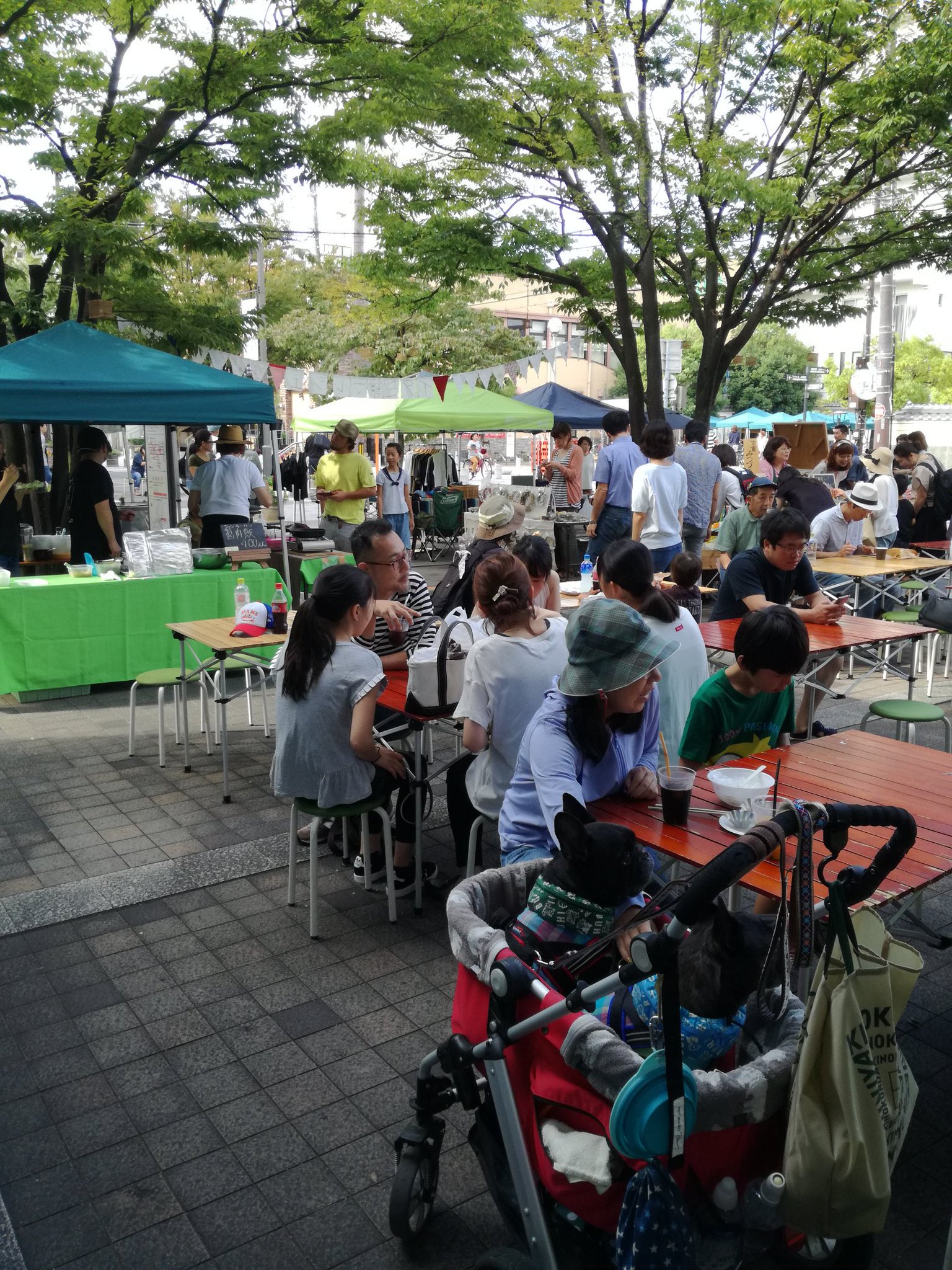 テラゲンファーム（Terragen Farm) on Twitter 