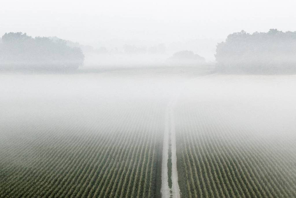 featureshoot's tweet image. In the last year, more than 47k images have been submitted for consideration for The Print Swap (@theprintswap), a… ift.tt/2eWFnpT