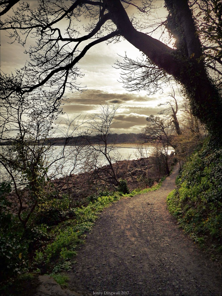 The Low Road, Aberdour. @Walk_Fife <a href="/AberdourToday/">AberdourToday</a> @AroundFife @exploringfife @InBNAJay <a href="/BurntTweets/">BurghTweets</a> @WildaboutScot