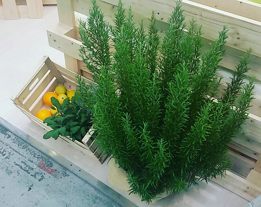 Sta per cominciare la terza giornata di #SANA17. Appuntamento dalle 9.30 in Fiera a #Bologna! #bio #natural #biologico #naturale