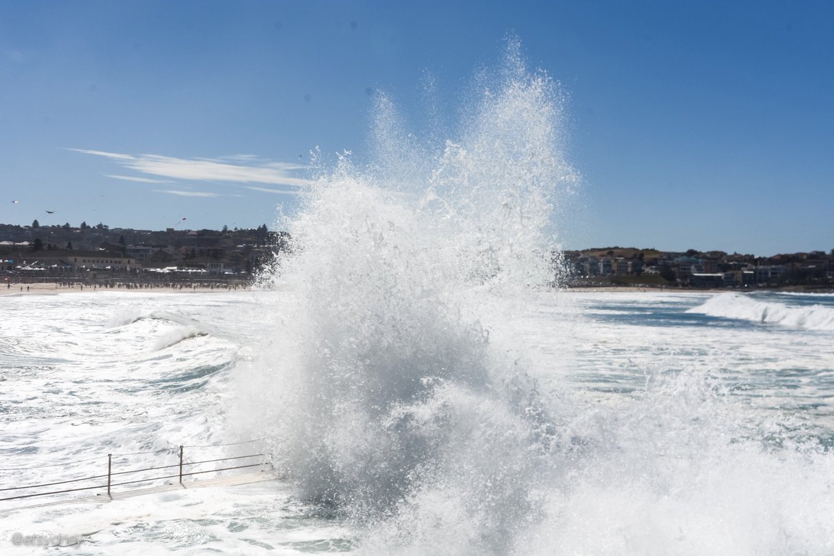 etsydney's tweet photo. No swimming today @IcebergsBondi #bigwaves #swell #bondi #seal https://t.co/gnFTa670kN https://t.co/nUMYIv67xm