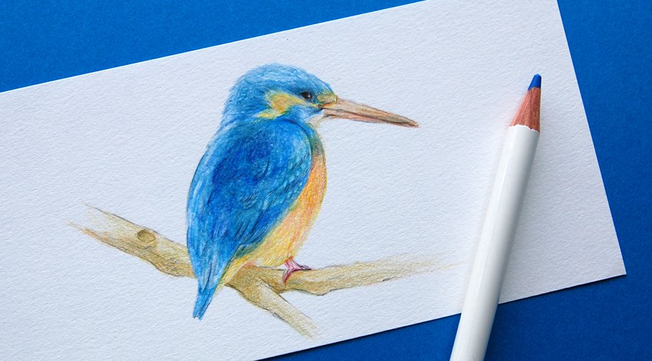 トンボ鉛筆 公式 A Twitter Irojiten便り 清流の宝石 とも呼ばれる鳥 カワセミ 色辞典 で描きました 色辞典 第1集 Vivid Tone 川蝉色 Kingfisher キングフィッシャーはカワセミ科の鳥 頭に冠があり水に飛びこんで魚を捕ることからこの名がついた トンボ鉛筆 公式 A Twitter Irojiten便り 清流の宝石 とも呼ばれる鳥 カワセミ 色辞典 で描きました 色辞典 第1集 Vivid Tone 川蝉色 Kingfisher キングフィッシャーはカワセミ科の鳥 頭に冠があり水に飛びこんで魚を捕ることからこの名がついた