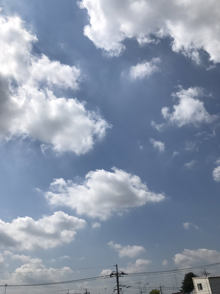 楽しく生きたい Twitter Search