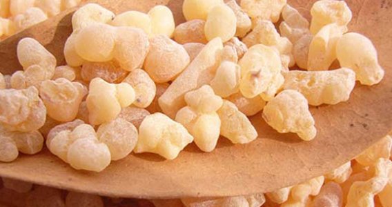 みる助 見逃せない 美肌 効果 フランキンセンス で アンチエイジングしましょ 乾燥肌 にも フランキンセンスの 効果効能 神経性疲労やアンチエイジングに T Co 5kk3eqvhsm T Co Jv8sq4ic7d Twitter