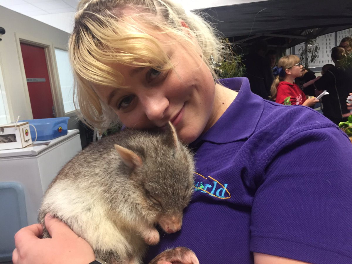 Dwarnisaurs's tweet photo. Look at his prehensile tail! The cutess #Bettong you could cuddle
#whyalla #sciencealive #sciworld #australiananimal #animalsannonymous https://t.co/MZIzmB2K9s