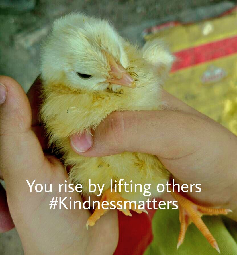 You #rise by lifting others. #KindnessMatters #QOTD #ThinkBIGSundayWithMarsha #makeyourownlane #Mpgvip @hrsanjaynegi @NWarind @meeMeenakshi
