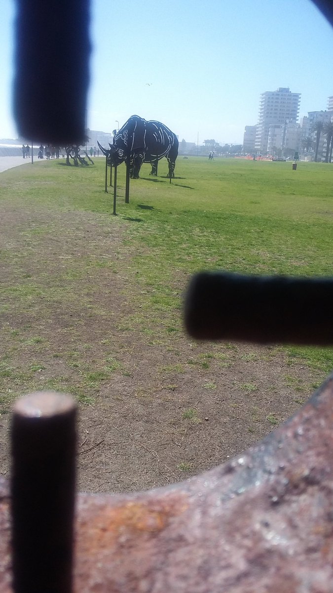 PatrickYolisa's tweet image. 