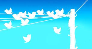 bhanu priya tweet media