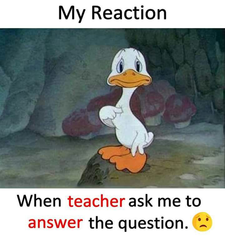 crazyspicyspy's tweet image. #dmclass